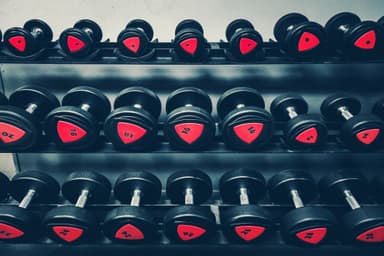 dumbbells